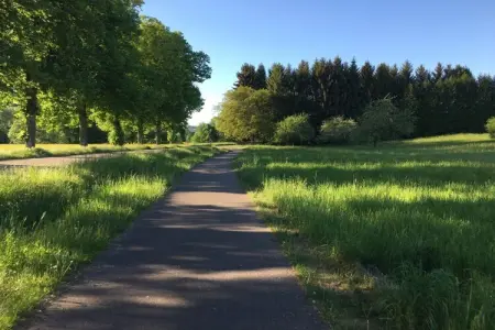 227098, Le Bois de Robin - Photo 19