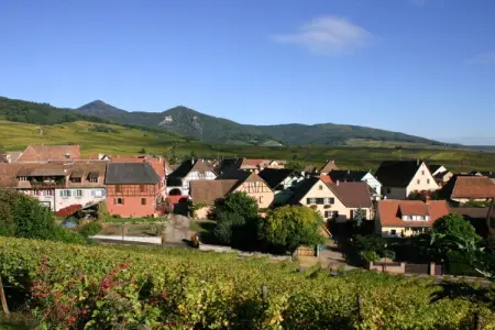 46432, Maison Gîte Au Tonnelier - Photo 29