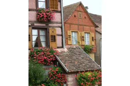 46432, Maison Gîte Au Tonnelier - Photo 31