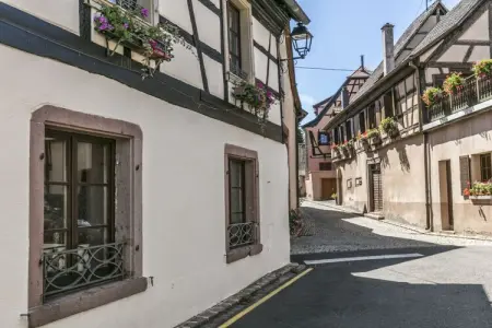 46432, Maison Gîte Au Tonnelier - Photo 33