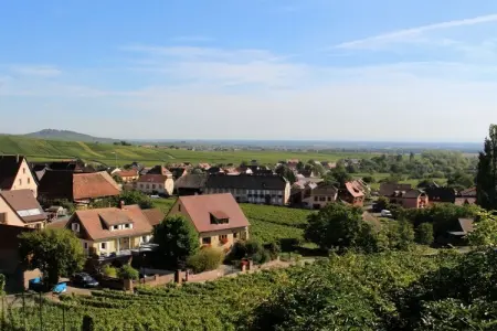 46432, Maison Gîte Au Tonnelier - Photo 39