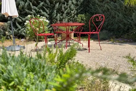 341491, Cérisiers - Rosiers - Photo 5