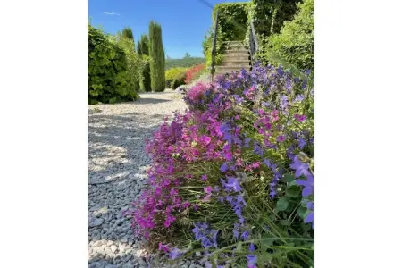 341491, Cérisiers - Rosiers - Photo 11