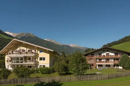 113889, « Pinus » dans l'Ahrntal - Photo 1