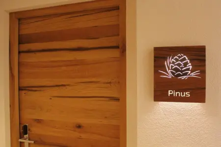 113889, « Pinus » dans l'Ahrntal - Photo 6
