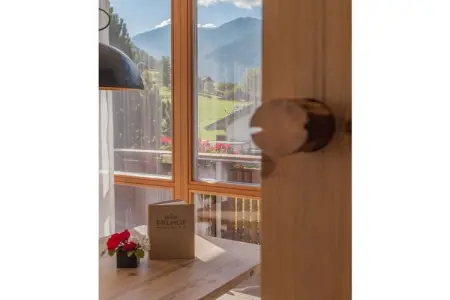113889, « Pinus » dans l'Ahrntal - Photo 9
