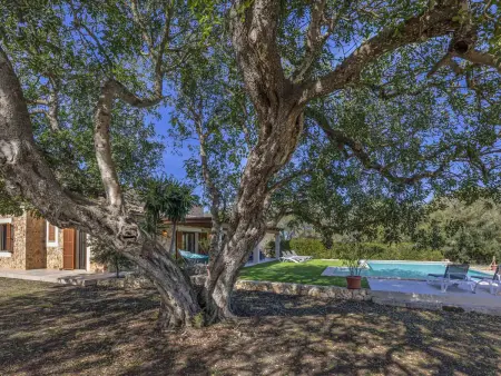 Domaine moderne, vue montagne - 6 pers., Gite 6 personnes à Ariany - Photo 23