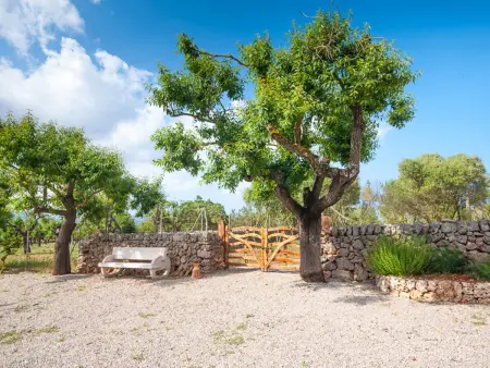Maison charmante avec piscine privée - 4 pers., Gite 4 personnes à Santa Margalida - Photo 28
