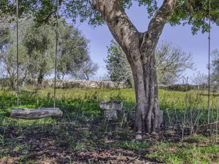 Domaine avec piscine et climatisation - 8 pers., Gite 8 personnes à Santa Margalida - Photo 25