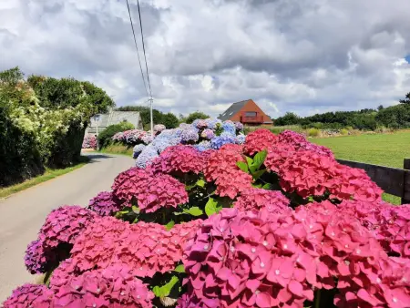 Maison conviviale avec jardin près de Trédrez-Locquémeau - Photo 25