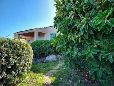 Villa avec Vue Panoramique et Piscine Privée à Corbara - Photo 11