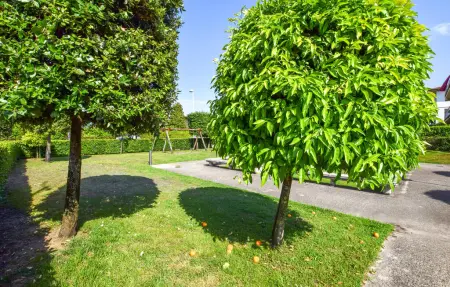 Maison 4 personnes à Lido di Camaiore - Photo 15