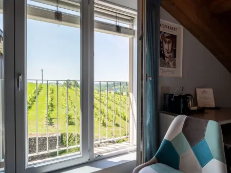 Guesthouse Dellavalle, Maison 10 personnes à Vigliano d'Asti - Photo 23