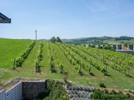 Guesthouse Dellavalle, Maison 10 personnes à Vigliano d'Asti - Photo 38