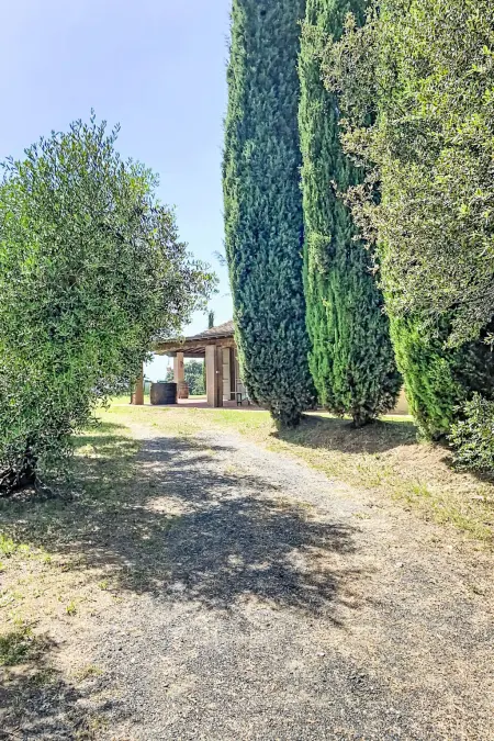 La Mimosa, Maison 6 personnes à Casale Marittimo - Photo 43