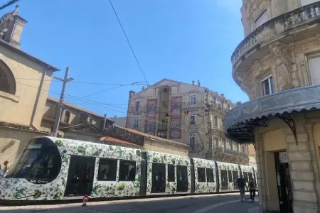 Ostal Pagès, Bel appartement en centre-ville de Montpellier - Photo 16