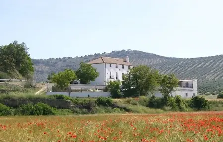 Maison 21 personnes à Alcala la Real - Photo 13