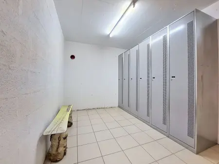 Myosotis Est, Appartement 8 personnes à Veysonnaz - Photo 46