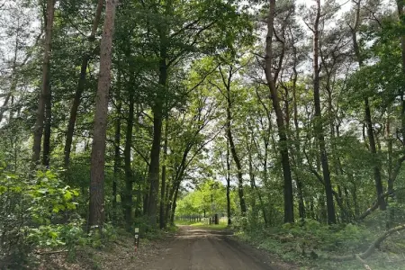De Wachtkamer, La salle d'attente – Calme, nature et charme à Peer - Photo 20