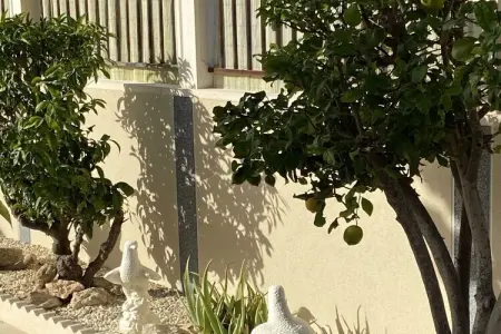 139509, finca à une chambre - Photo 9