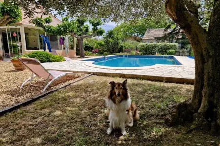 636508, Villa « Lezard vert » - Photo 4
