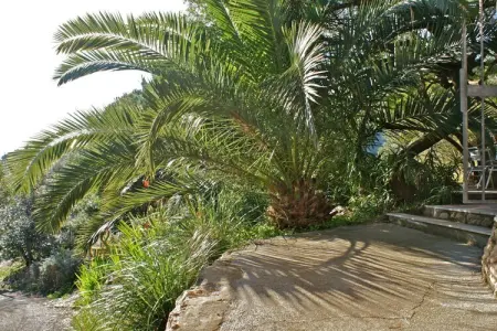 34843, Casa Furrer Terranera - Photo 2