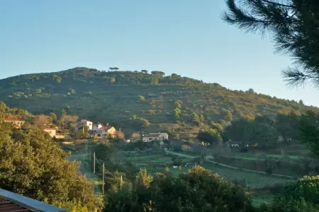 34843, Casa Furrer Terranera - Photo 17