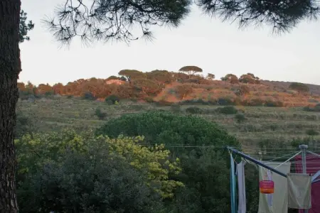 34843, Casa Furrer Terranera - Photo 18