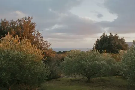 34843, Casa Furrer Terranera - Photo 19