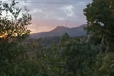 34843, Casa Furrer Terranera - Photo 20