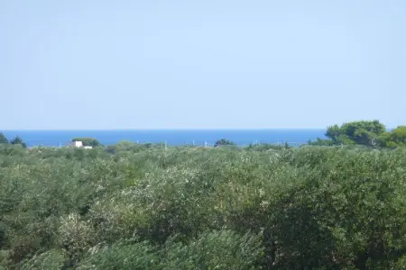 119818, Villa Dolce Vita - Photo 4