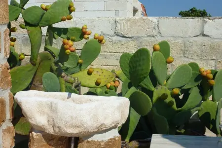 119818, Villa Dolce Vita - Photo 5