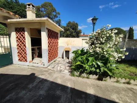 Villa climatisée avec grand jardin, animaux admis - Photo 8