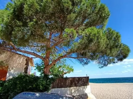 Studio avec loggia et jardin, piscine et tennis, 500m de la mer - Argelès-sur-Mer - Photo 11
