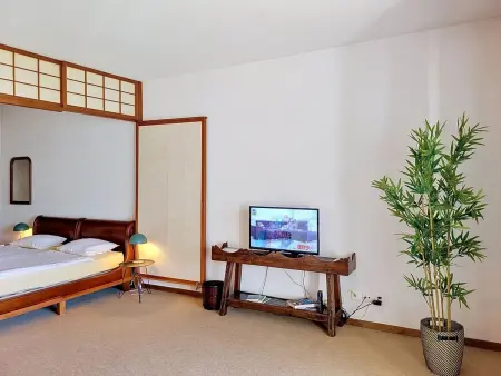 Residenza Miralago Apt.A3, Appartement 2 personnes à Piazzogna - Photo 8