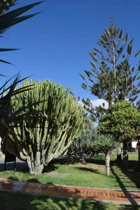 für 4 Personen ca. 40 m&sup2; in Maspalomas, Gran Canaria (Südküste Gran Canari - Photo 20