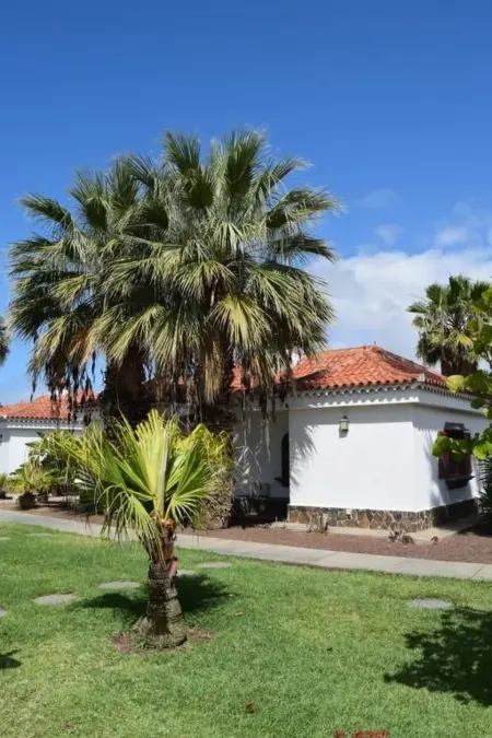 für 4 Personen ca. 40 m&sup2; in Maspalomas, Gran Canaria (Südküste Gran Canari - Photo 22