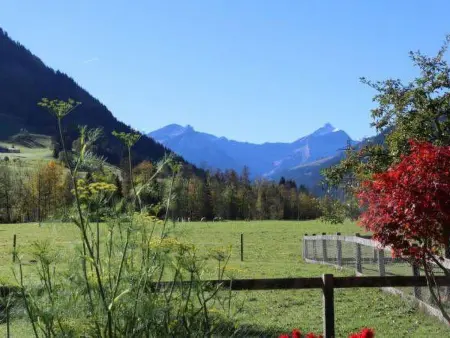 2-Bettwohnung, Appartement 2 personnes à Gstaad - Photo 6