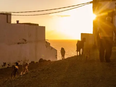 Casa Candela, Maison 4 personnes à Gran Canaria Sardina - Photo 41
