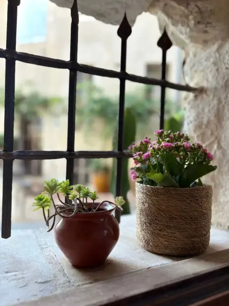 Joli appartement 2 chambres à Saint-Paul-de-Vence - Photo 46