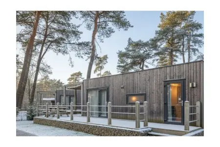 781823, Maison de vacances Kempen cottage 4 - Photo 9