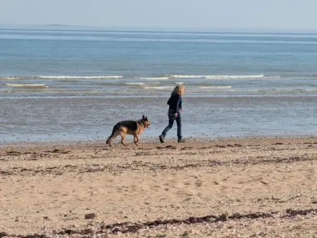 Maison vue mer, animaux bienvenus - 4 pers., Gite 4 personnes à Quinéville - Photo 7