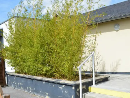 Gîte spacieux au cœur du village - 7 pers., Gite 7 personnes à Alaincourt - Photo 11