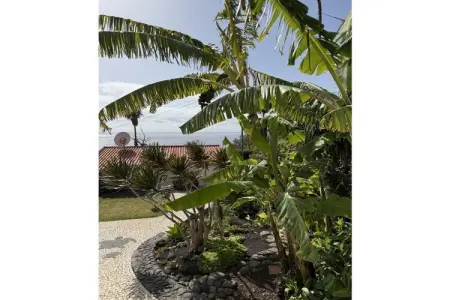 529783, Villa AzuldoMar Jade - Photo 2