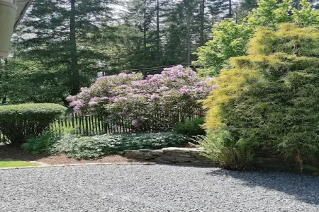 Les Rainettes, Les Rainettes – Maison familiale au calme avec jardin et terrasse en Ardennes - Photo 13