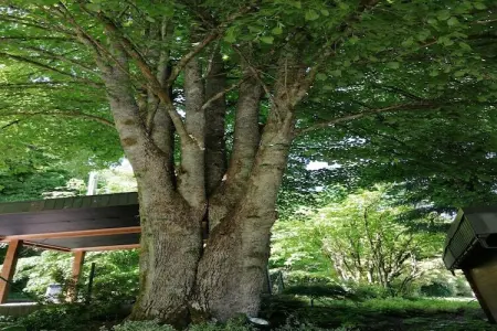 Les Rainettes, Les Rainettes – Maison familiale au calme avec jardin et terrasse en Ardennes - Photo 14