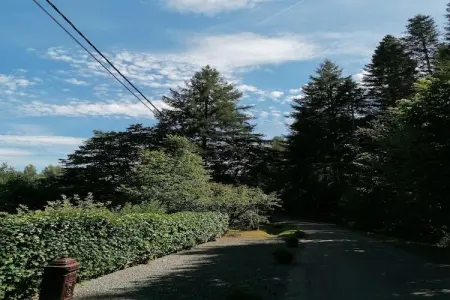 Les Rainettes, Les Rainettes – Maison familiale au calme avec jardin et terrasse en Ardennes - Photo 16