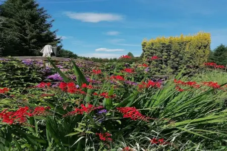 Les Rainettes, Les Rainettes – Maison familiale au calme avec jardin et terrasse en Ardennes - Photo 17