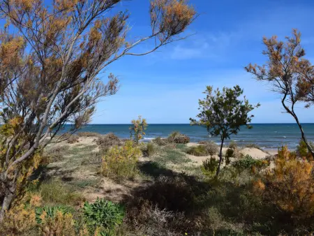 Appartement charmant à Oliva avec piscine commune, proche plage pour 5 personnes - Photo 30