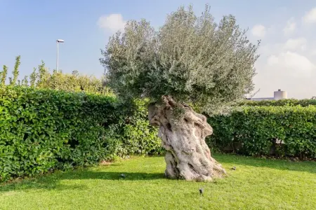 513353, Villa Incanto nel Blu - RS - Photo 54